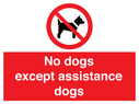 no-dogs-except-assistance-dogs~